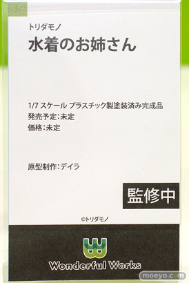 フィギュア ワンダーフェスティバル2023 [夏]  wonderfl works トリダモノ 水着のお姉さん デイラ 15