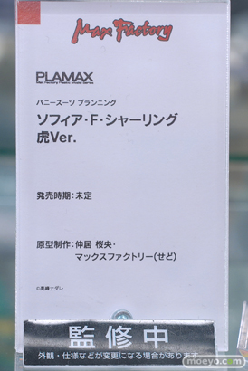 ホビーメーカー5社合同新製品展示会　ヨドバシカメラ 秋葉原店　美少女プラモ 18