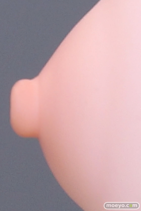 Lovely 媛子 Illustrated by スカイ エロ フィギュア キャストオフ 製品版 44