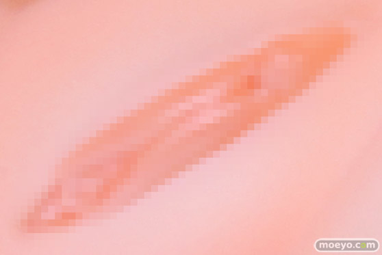 Lovely 媛子 Illustrated by スカイ エロ フィギュア キャストオフ 製品版 50