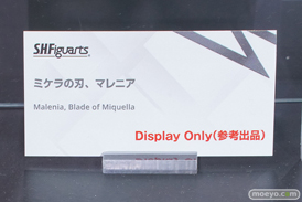 TAMASHII NATION 2023　 フィギュア セーラーコスモス フリーレン 16