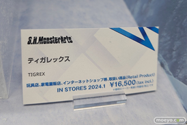 TAMASHII NATION 2023　 フィギュア セーラーコスモス フリーレン 23