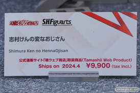 TAMASHII NATION 2023　 フィギュア セーラーコスモス フリーレン 42