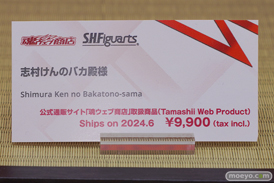 TAMASHII NATION 2023　 フィギュア セーラーコスモス フリーレン 44