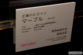 第6回 ネイティブグループ合同展示会（エロホビ） エロ フィギュア キャストオフ HOTVENUS 13