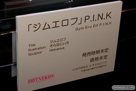 第6回 ネイティブグループ合同展示会（エロホビ） エロ フィギュア キャストオフ HOTVENUS 20