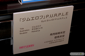 第6回 ネイティブグループ合同展示会（エロホビ） エロ フィギュア キャストオフ HOTVENUS 24