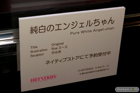 第6回 ネイティブグループ合同展示会（エロホビ） エロ フィギュア キャストオフ HOTVENUS 31