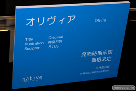 第6回 ネイティブグループ合同展示会（エロホビ） エロ フィギュア キャストオフネイティブ  FROG マジックバレット Pink・cat 04