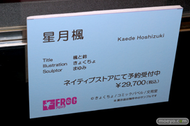 第6回 ネイティブグループ合同展示会（エロホビ） エロ フィギュア キャストオフネイティブ  FROG マジックバレット Pink・cat 13