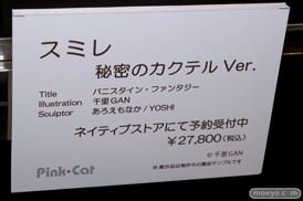 第6回 ネイティブグループ合同展示会（エロホビ） エロ フィギュア キャストオフネイティブ  FROG マジックバレット Pink・cat 19