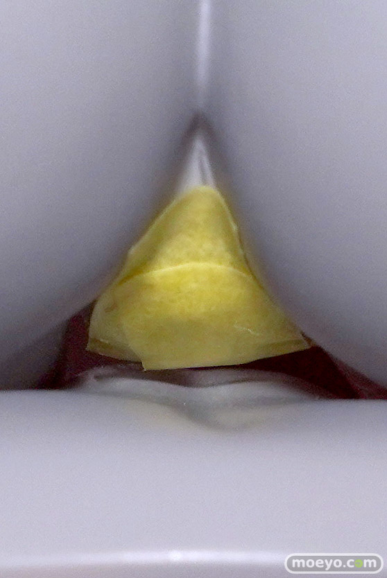 第6回 ネイティブグループ合同展示会（エロホビ） エロ フィギュア キャストオフ HOTVENUS そらなにいろ ジムエロフ PINK 24