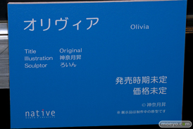 第6回 ネイティブグループ合同展示会（エロホビ） エロ フィギュア キャストオフ オリヴィア 神奈月昇  ろいん 30