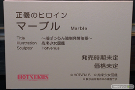第6回 ネイティブグループ合同展示会（エロホビ） エロ フィギュア キャストオフ HOTVENUS ～指ぱっちん強制発情催眠～ 正義のヒロイン マーブル 拘束少女図鑑 24