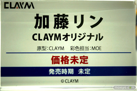 ワンダーフェスティバル2024 [冬]  フィギュア ダイキ工業 ウィッチ 土佐 高梨桜佳 エロ 12