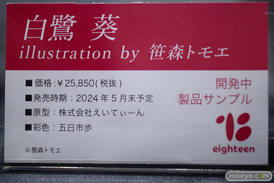 ワンダーフェスティバル2024 [冬]  フィギュア えいてぃーん 22