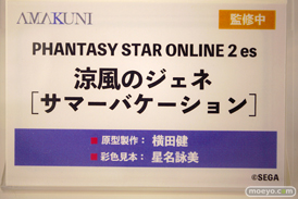 ワンダーフェスティバル2024 [冬]  フィギュア あみあみホビーキャンプ AMAKUNI 11