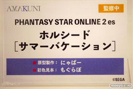 ワンダーフェスティバル2024 [冬]  フィギュア あみあみホビーキャンプ AMAKUNI 14