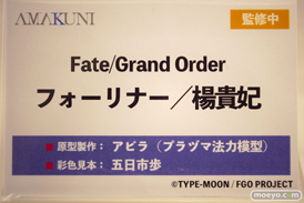 ワンダーフェスティバル2024 [冬]  フィギュア あみあみホビーキャンプ AMAKUNI 39