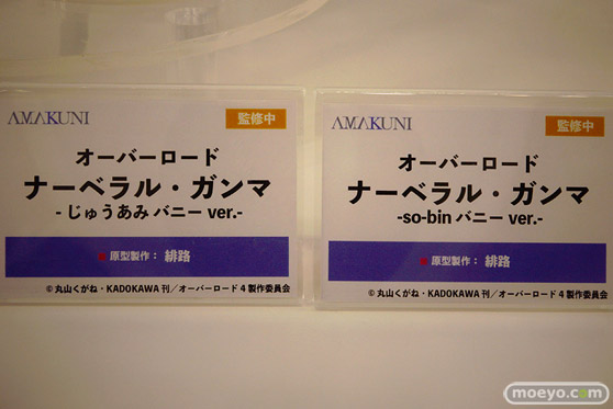 ワンダーフェスティバル2024 [冬]  フィギュア あみあみホビーキャンプ AMAKUNI 56