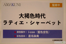 ワンダーフェスティバル2024 [冬]  フィギュア あみあみホビーキャンプ AMAKUNI 70