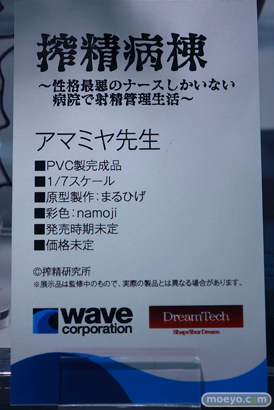 ワンダーフェスティバル2024 [冬]  フィギュア ウェーブ 06
