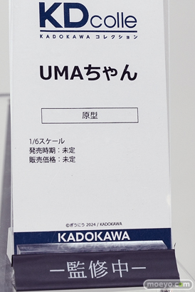ワンダーフェスティバル2024 [冬]  フィギュア  KADOKAWA  53