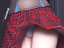 「ワンダーフェスティバル2023 [夏]」 様々なディーラーブースの様子「シャークフィン」「ソフトシェルクラブ。」「はくちょこりぃ」