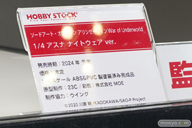 ワンダーフェスティバル2024 [冬]  フィギュア ホビーストック 16