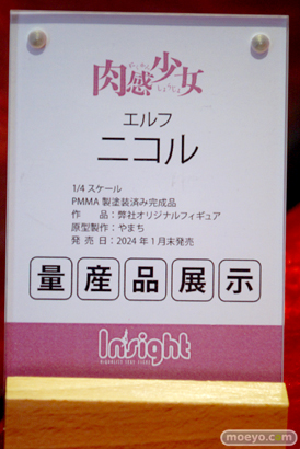 ワンダーフェスティバル2024 [冬]  フィギュア インサイト  10