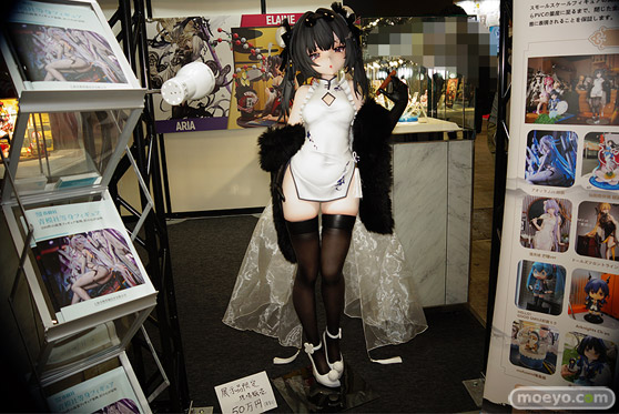 ワンダーフェスティバル2024 [冬]  フィギュア RAISE DREAM    13