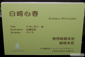 第7回 ネイティブグループ合同展示会（エロホビ） エロ フィギュア キャストオフ ネイティブ Cleyera Doll UnBOUND FROG 14