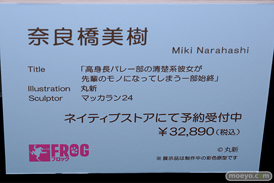 第7回 ネイティブグループ合同展示会（エロホビ） エロ フィギュア キャストオフ ネイティブ Cleyera Doll UnBOUND FROG 27