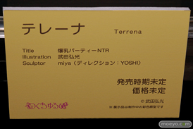 第7回 ネイティブグループ合同展示会（エロホビ） エロ フィギュア キャストオフ のくちゅるぬ 05