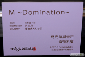 第7回 ネイティブグループ合同展示会（エロホビ） エロ フィギュア キャストオフ マジックバレット  HOTVENUS 06