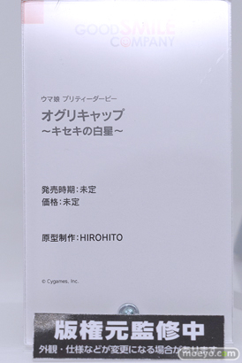 AnimeJapan 2024 グッドスマイルカンパニー フリーレン 46