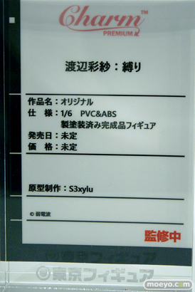 ワンダーフェスティバル2024 [冬]  フィギュア キャストオフ エロ Charm 渡辺彩沙：縛り S3xyiu 10