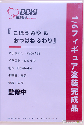 ワンダーフェスティバル2024 [冬]  フィギュア DOKIBOKKI 乙羽音 花羽里＆弧峰 美弥 にのうで 13