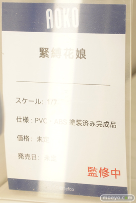 ワンダーフェスティバル2024 [冬]  フィギュア キャストオフ エロ AOKO 緊縛花娘 Tefco 12