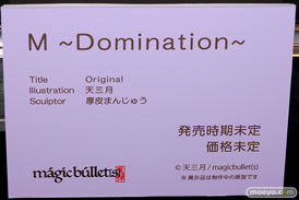 マジックバレット M ～Domination～ 天三月 厚皮まんじゅう 第7回 ネイティブグループ合同展示会（エロホビ） エロ フィギュア キャストオフ 28