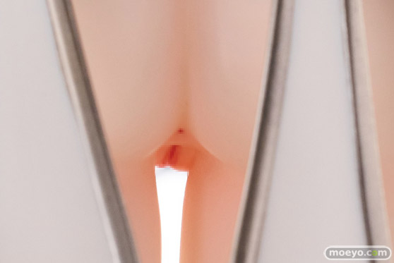 フィギュア キャストオフ エロ PinkMango シルフィーナ 特別Ver. illustration by oekakizuki モザイク 12