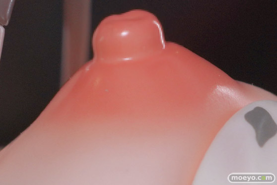 第7回 ネイティブグループ合同展示会（エロホビ） エロ フィギュア キャストオフ のくちゅるぬ 爆乳パーティーNTR テレーナ 武田弘光 miya YOSHI 12