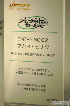ワンダーフェスティバル2024 [冬]  フィギュア ヴェルテクス オービットガールズ アカネ・ヒナツ 高峰ナダレ ふぉるとねいしょん10