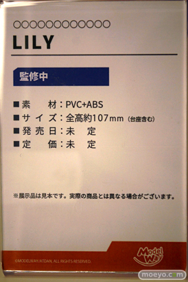 ワンダーフェスティバル2024 [冬]  フィギュア Model Way Lily 12