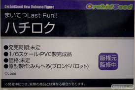 ワンダーフェスティバル2024 [冬]  フィギュア まいてつLast Run!! ハチロク みんへる オーキッドシード 11