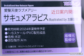 ワンダーフェスティバル2024 [冬]  フィギュア キャストオフ エロ チューベローズプラス 愛聖天使ラブメアリー サキュメアラピス A'm 16