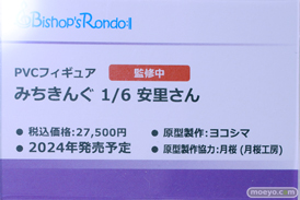ビショップスロンド みちきんぐ 安里さん ヨコシマ 月桜 ワンダーフェスティバル2024 [冬]  フィギュア キャストオフ エロ 16