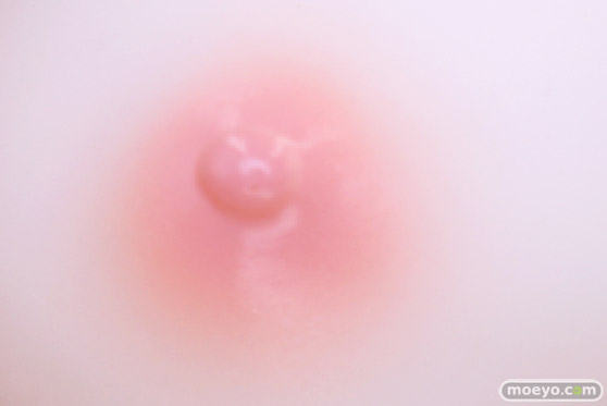 ジェントルメン Erotics Gear-Girl ルージュ Illustration by うるりひ ヤドカリ 住田和宏 フィギュア エロ キャストオフ 製品版 56