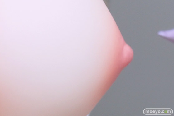 ジェントルメン Erotics Gear-Girl ルージュ Illustration by うるりひ ヤドカリ 住田和宏 フィギュア エロ キャストオフ 製品版 57