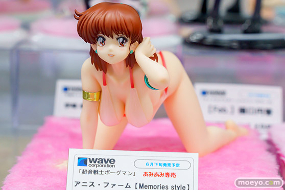 ウェーブ 超音戦士ボーグマン アニス・ファーム[Memories style]  小川陽三　五日市歩　フィギュア あみあみ 05